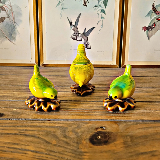 X Ensemble salière poivrier et moutardier en barbotine forme oiseau