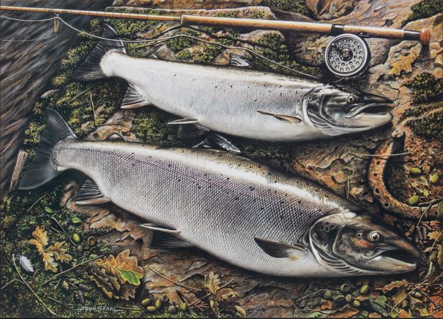 John Searl Limited Edition Signed Print - 'Autumn Salmon'