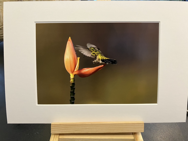 Tirage illimité Citrine avec passe-partout  