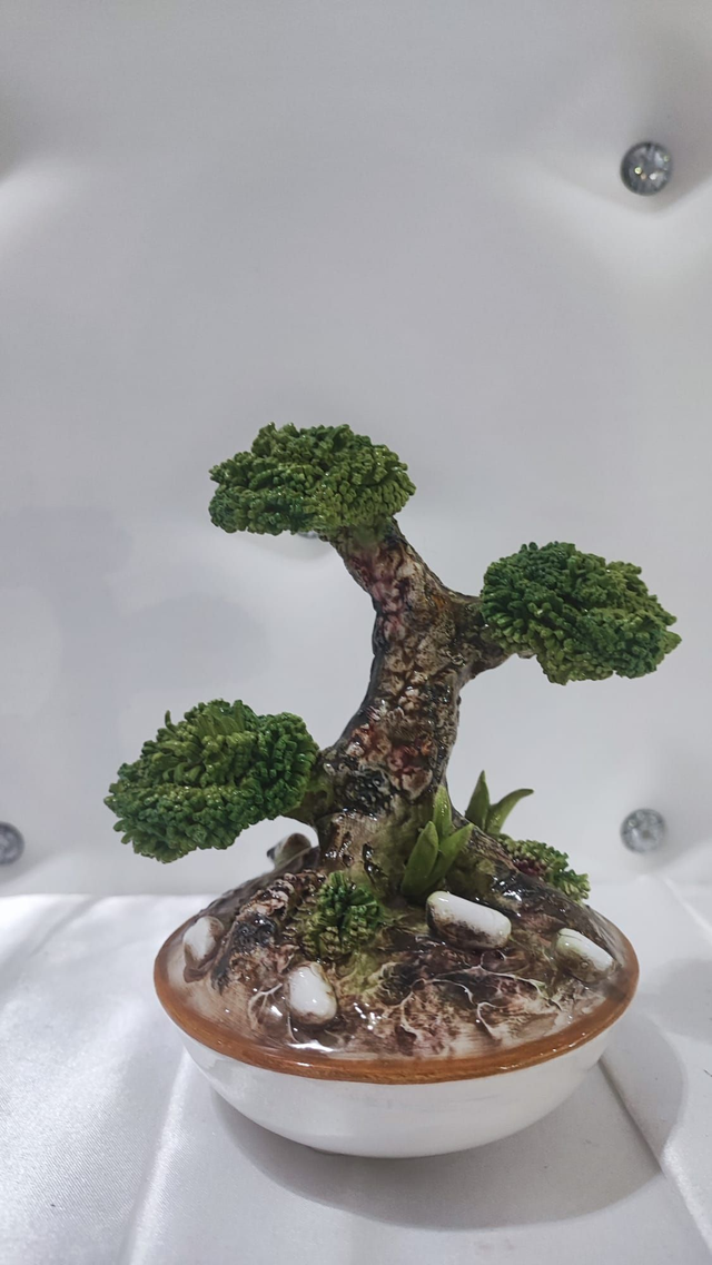 Bonsai in ceramica