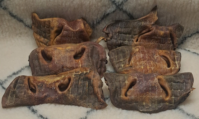 06 - Museau de Bœuf