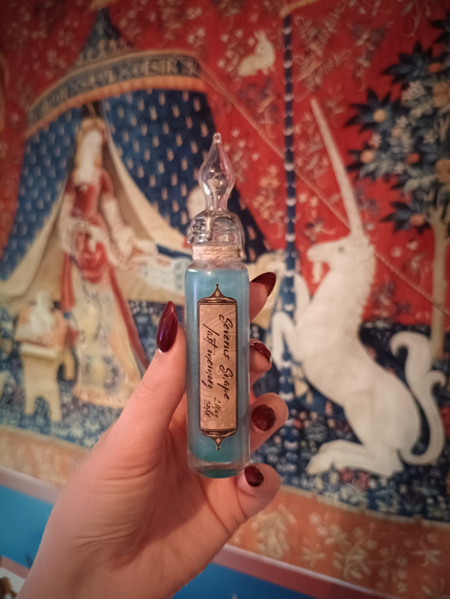 Souvenirs de Severus