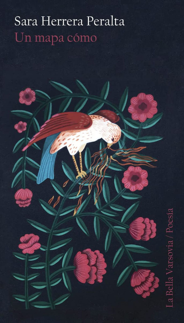 Un mapa cómo - Sara Herrera Peralta