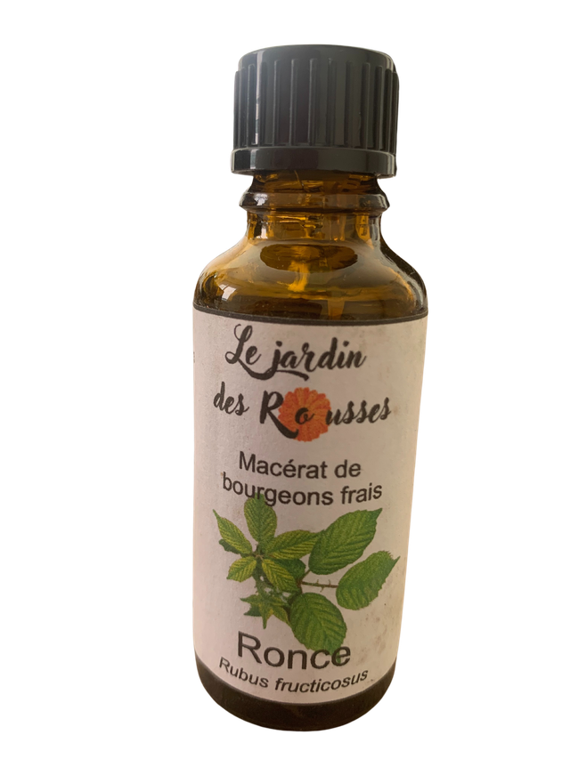 RONCE - Macérât glycériné de bourgeons Flacon de 30 ml