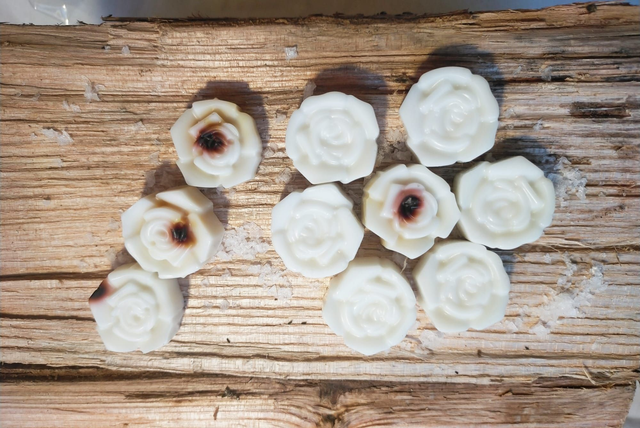 ROCK SALT AND DRIFTWOOD