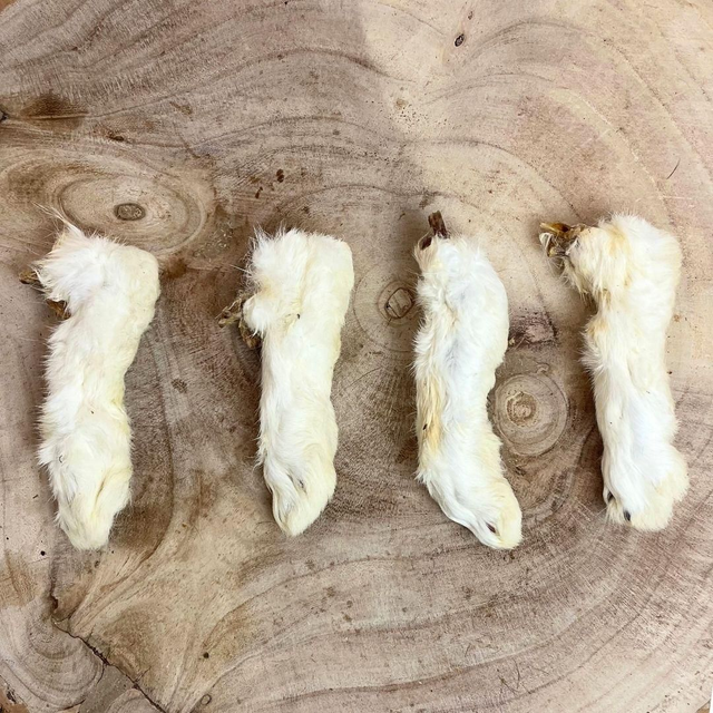 Hairy Rabbit Foot