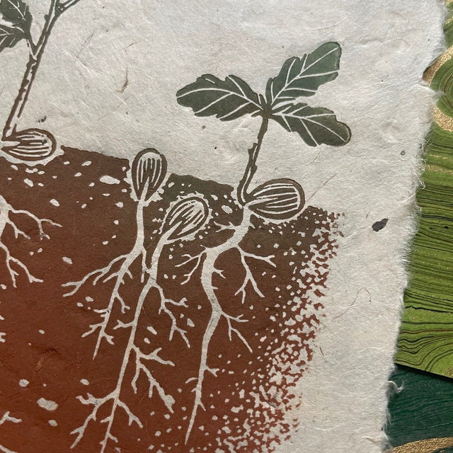 One Day, We Will Become the Mightiest of Forests (Limited edition)