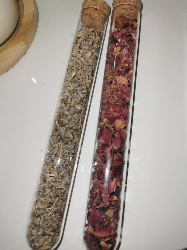 Bl�ten im Reagenzglas