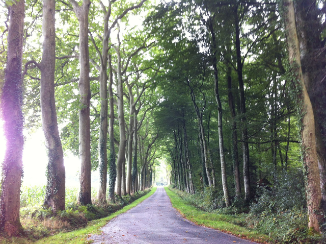 Visite à la ferme et dégustation (1 à 5 pers tarif unique)
