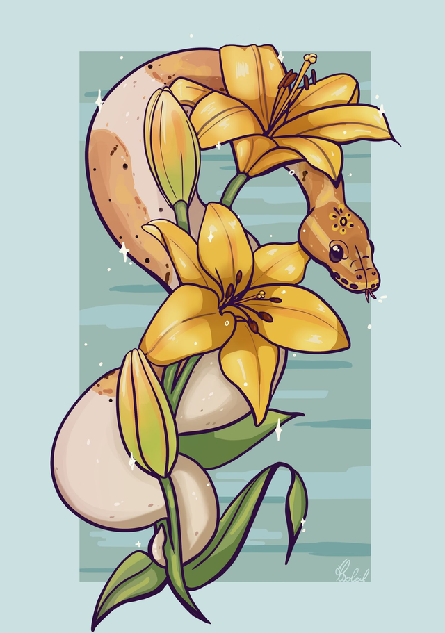 Edition limitée : Steve