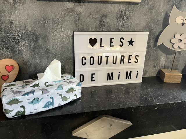 Housse boite à mouchoir