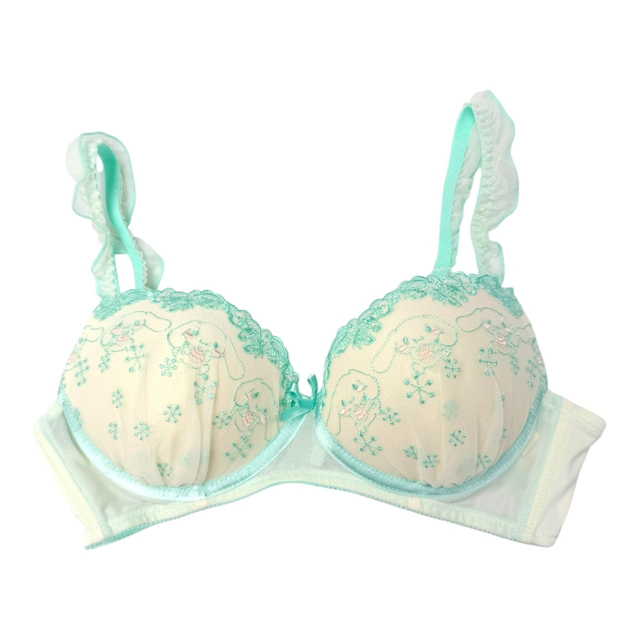 cinnamoroll cream snowflake bra 