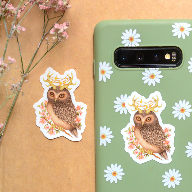 "Enchanted Owl" vinyl sticker