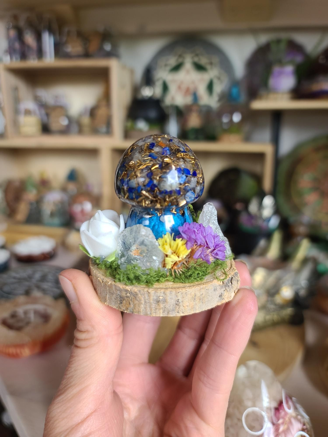 Mini champignon 🍄 N°3