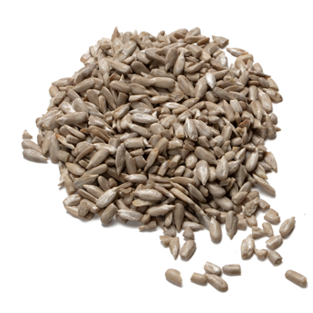 Graine de Tournesol Bio - 10,90€/kg