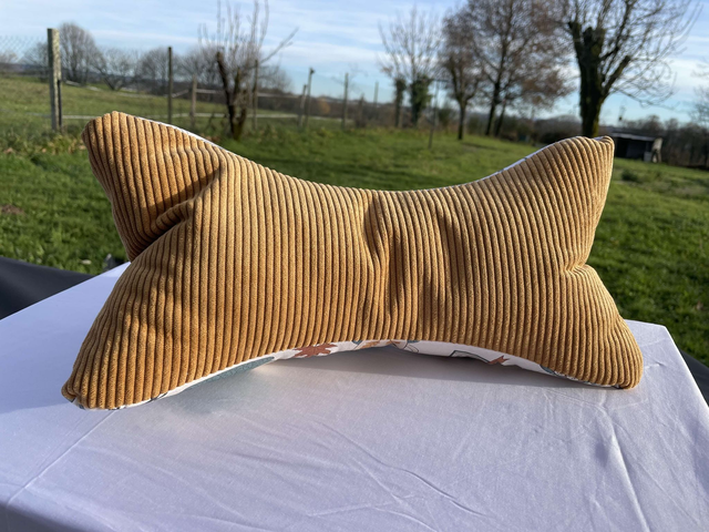 Coussin papillon cosy