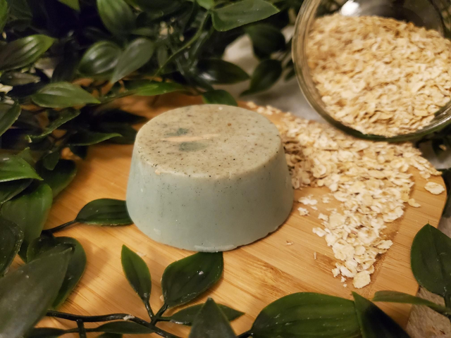 Zero Waste Shampoo | Eucalyptus &amp; Tea Tree