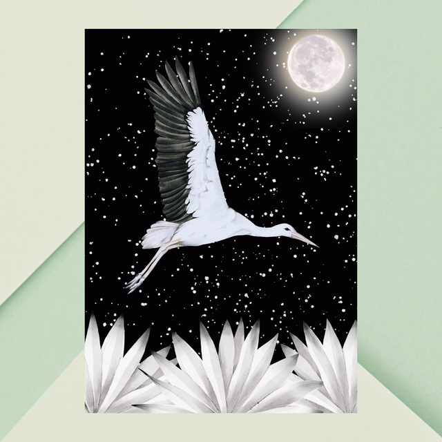 Impression de Cigogne Blanche Volant sous la Pleine Lune - Art Majestueux  / White Stork Flying under the Full Moon Print - Majestic Bird Art 