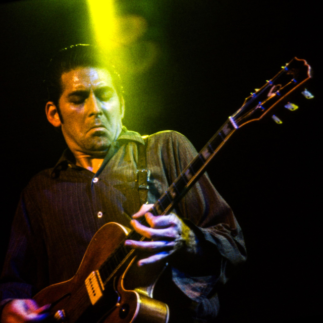 The Paladins / Dave Gonzalez