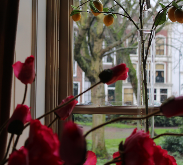 Glas Glass tube 72 cm hoog