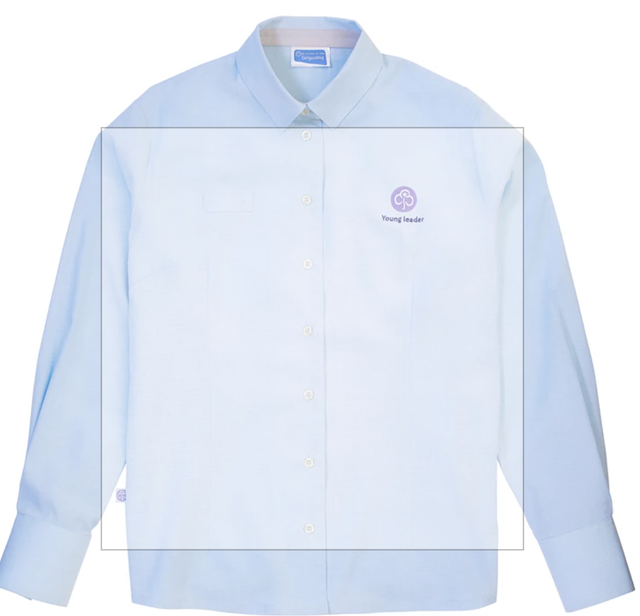 Young leaders long sleeved blouse