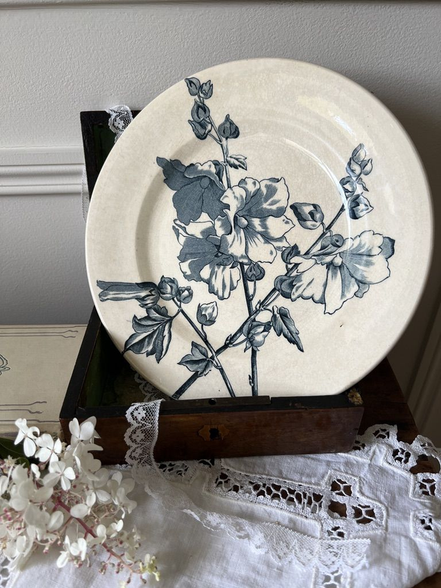 TREMIERES - Assiette Plate de la manufacture des Salins XIXème siècle - Terre de Fer