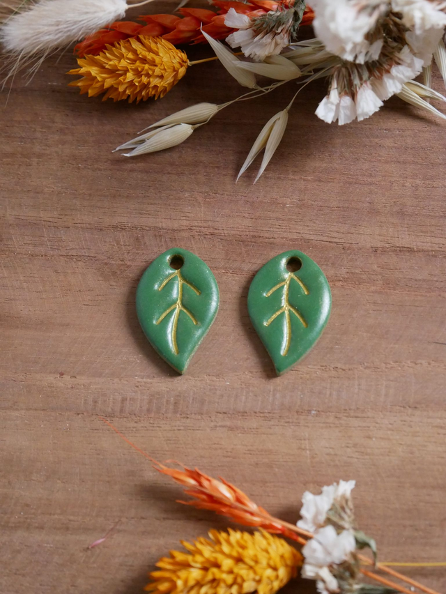 Feuilles vert foncé