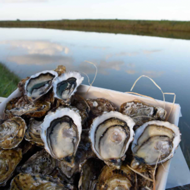 Spéciales de claires