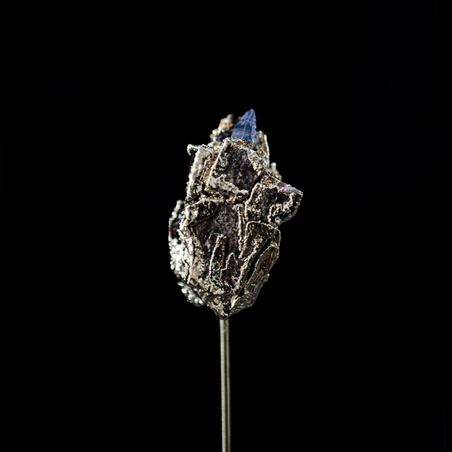 Broche Apothécie - 6/6