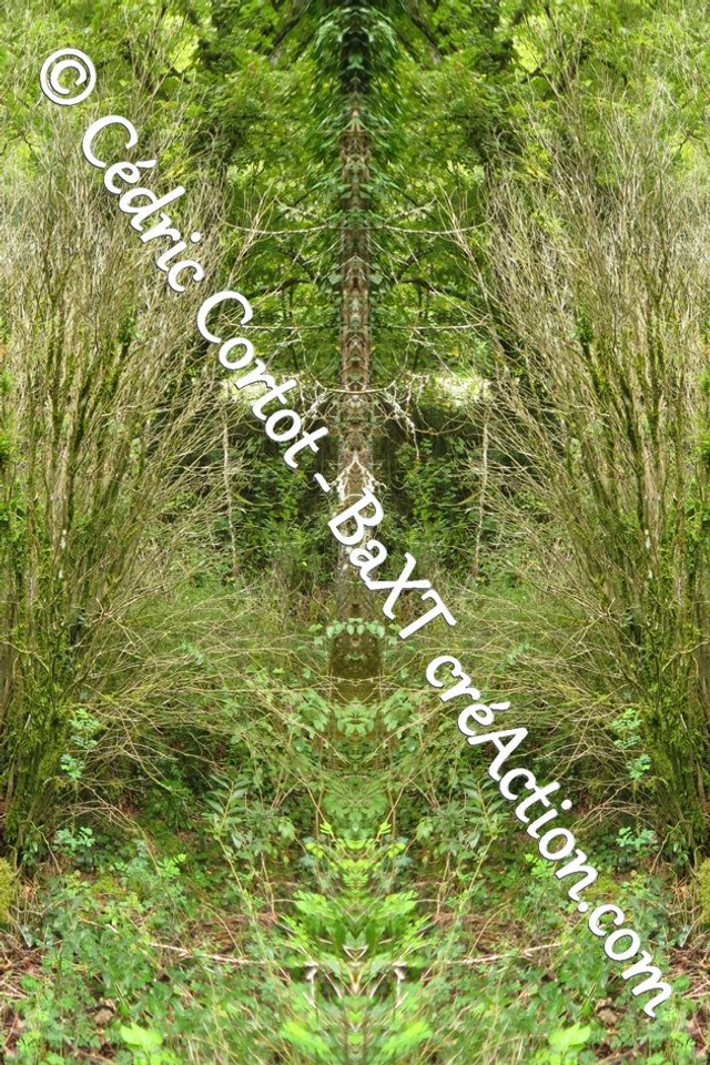 Impression sur alu dibond - Entre réel et irréel (ref 2054-4)