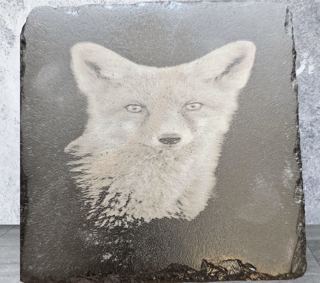 Slate Coaster - Fox