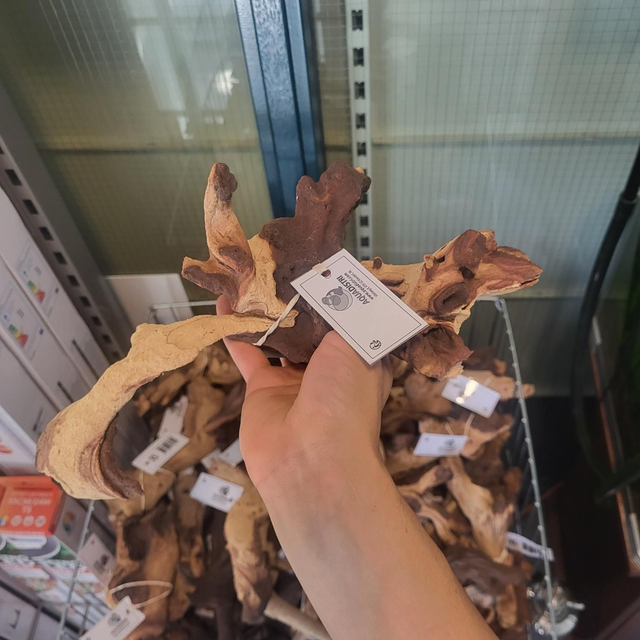 Mopani hout XS 8715897343421