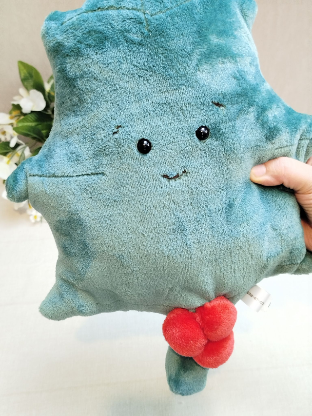 Coussin feuille de houx kawaii