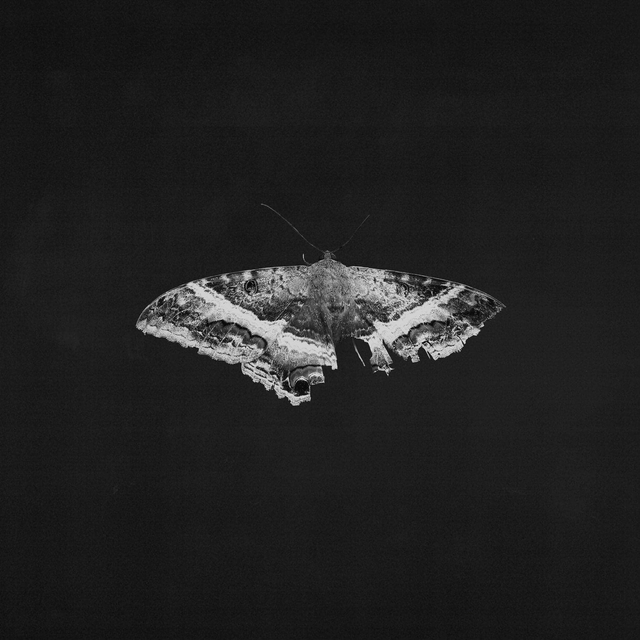 Kendrick Lamar - To Pimp a Butterfly 2xLP (10th Anniversary Edition Exclusive Colour Vinyl)