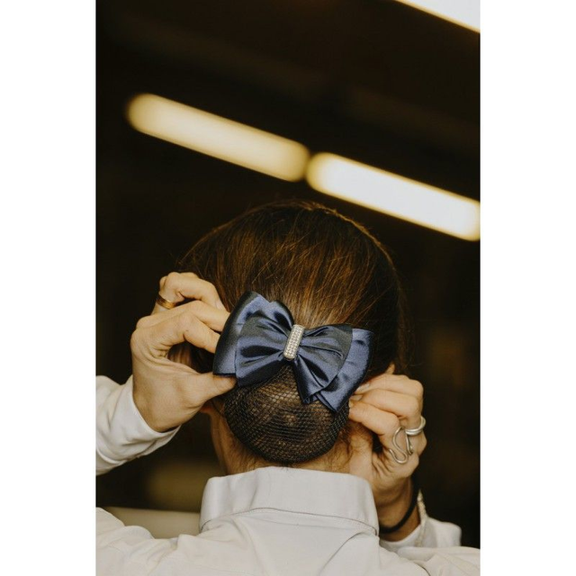 BARRETTE RÉSILLE POUR CHEVEUX EQUITHEME STRASS