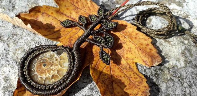 Collier arbre • ammonite