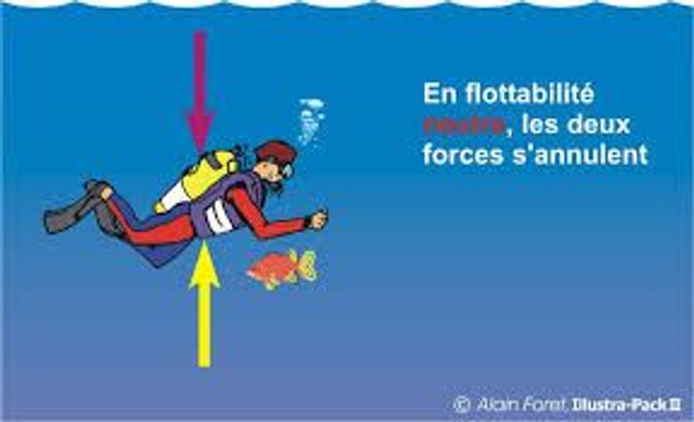 eLearning cours de spécialité padi SANS cours pratique