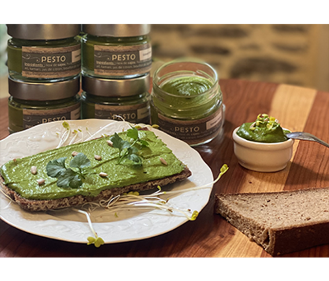 Td1) Pesto de saison