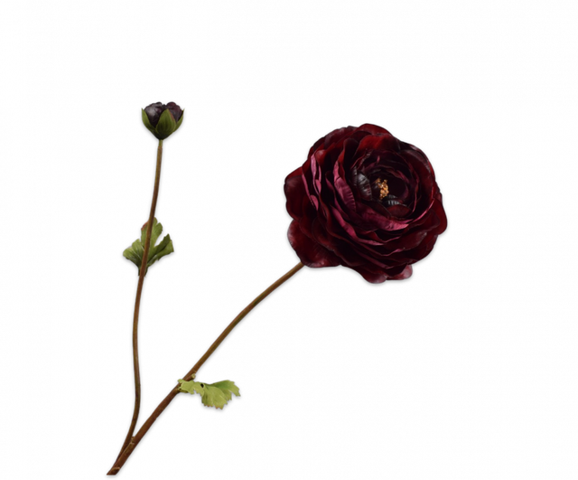 Silk-Ka Ranonkel Tak Bordeaux 65cm 