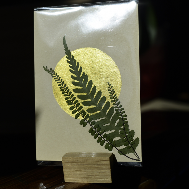 carte postale • fougères