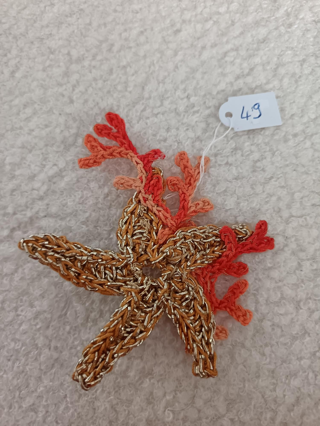 Broche étoile et corail 