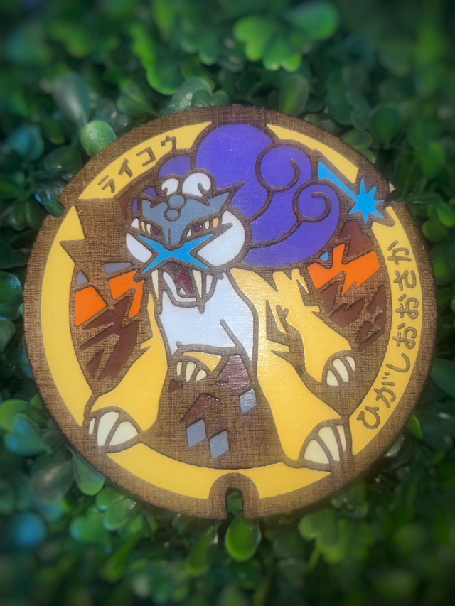 Plaque pokémon raikou.