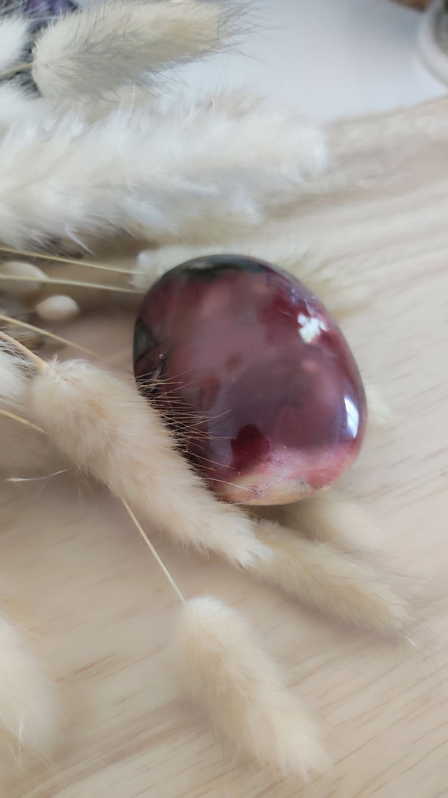 Galet Bois fossilisé 