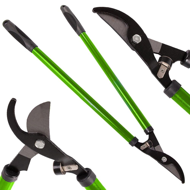 Cisailles de jardin manuelles pour branches