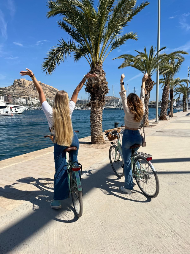 Alicante City Tour  (small group )