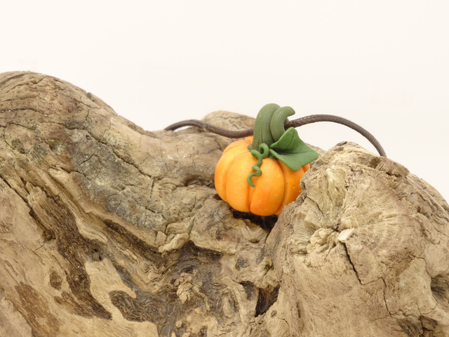 Collar de calabaza