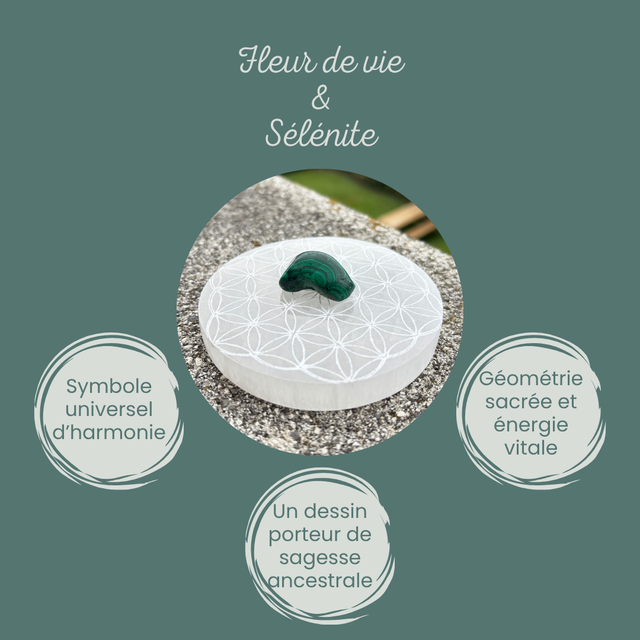 Fleur de Vie en Sélénite – Énergie &amp; Pureté