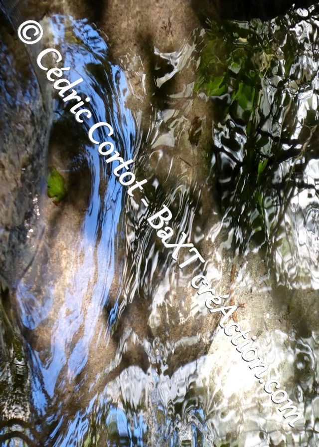 Carte postale - Reflets et cours d'Eau (Ref P1190161)