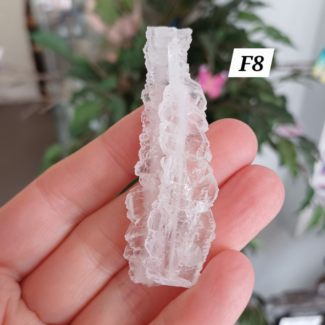 Lemurian Faden Quartz