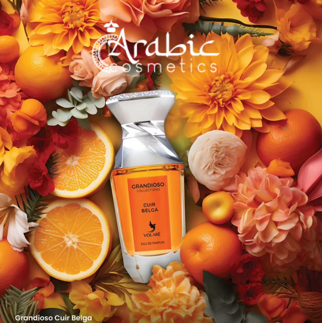 Grandioso Cuir Belga Volaré